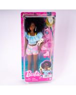 Muñeca Barbie con patines mascota y accesorios +3a